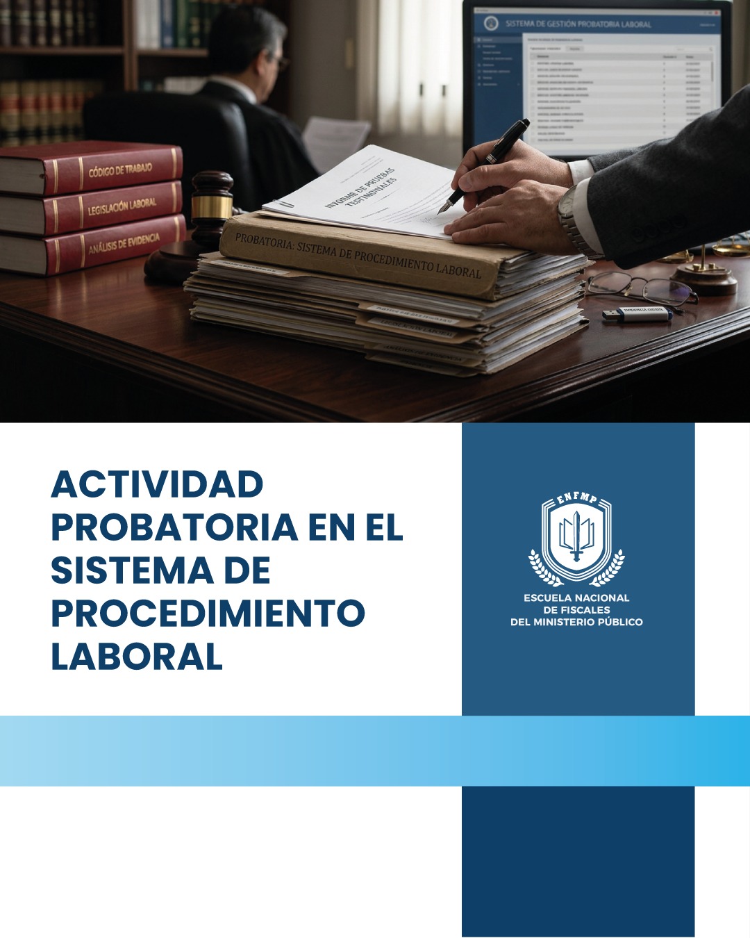 Actividad probatoria en el sistema de procedimiento laboral (vista previa).