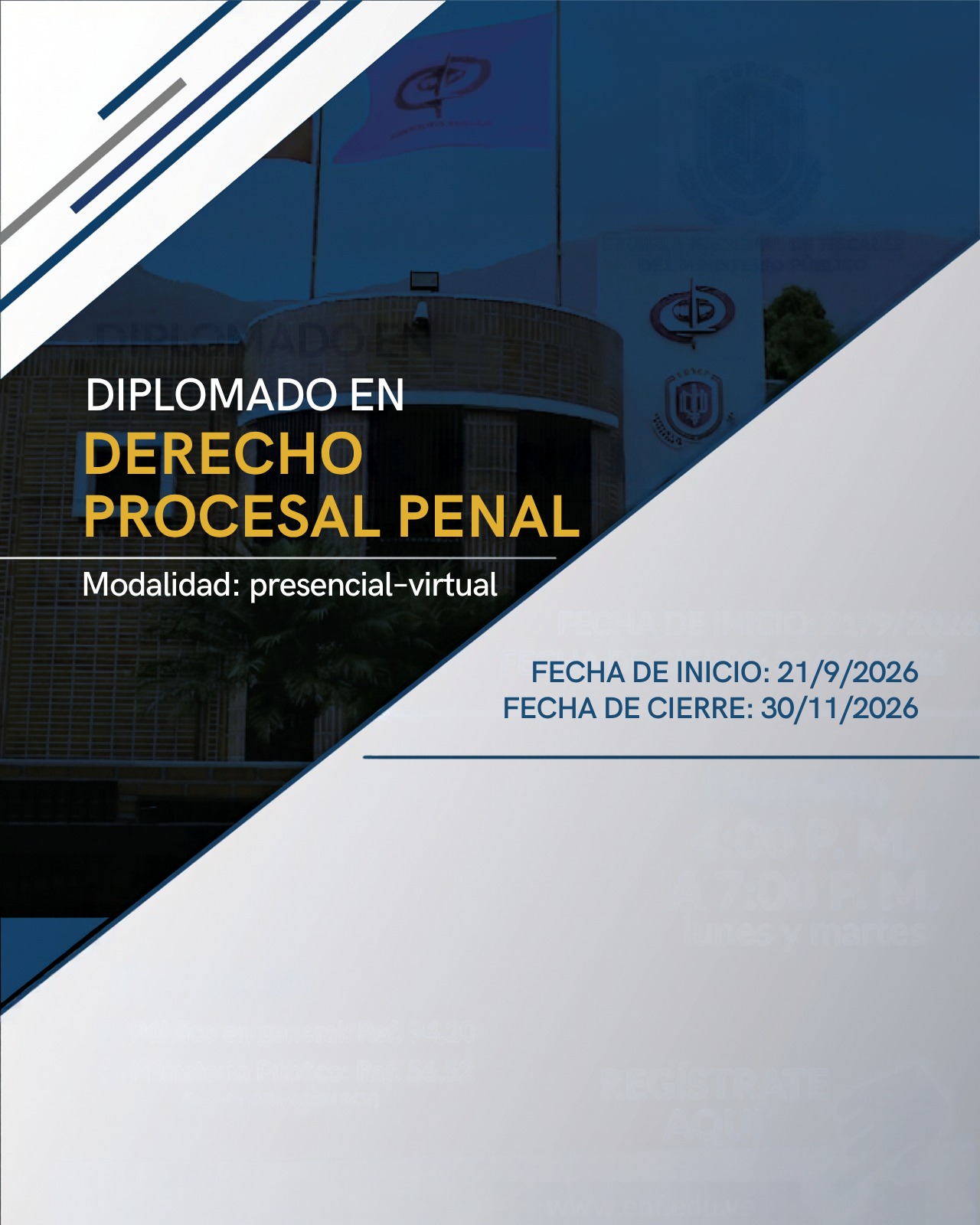 Derecho Procesal Penal (vista previa).