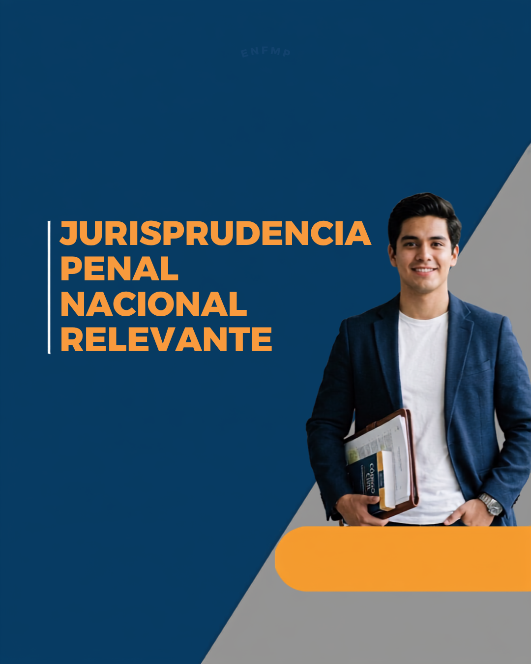 Jurisprudencia penal nacional relevante (vista previa).