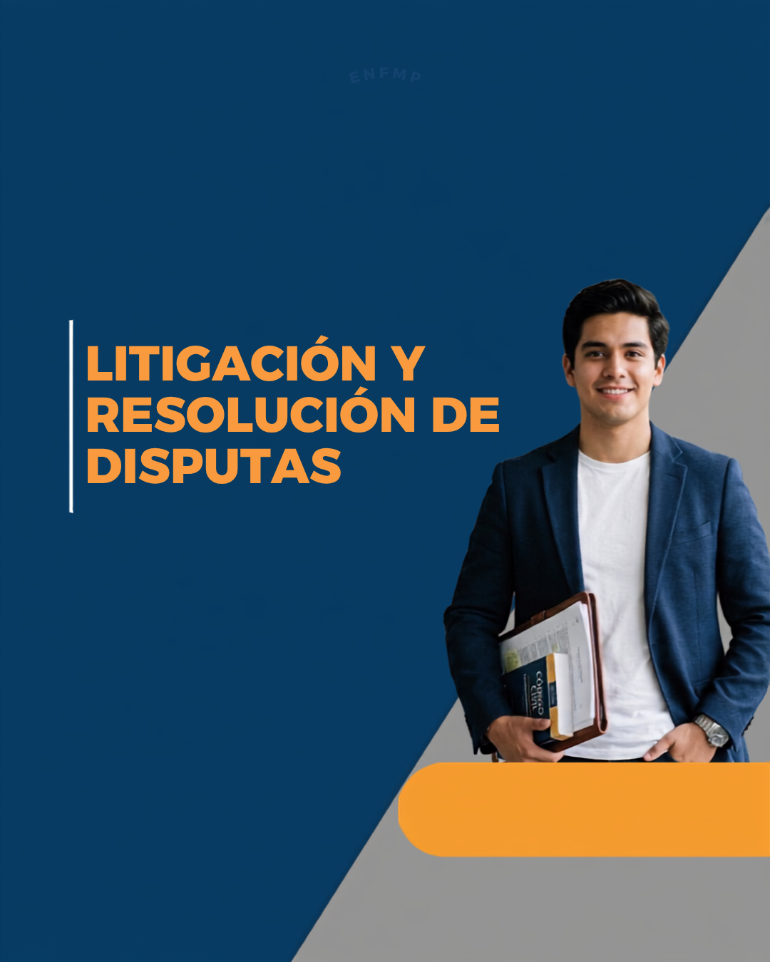Litigación y resolución de disputas (vista previa).
