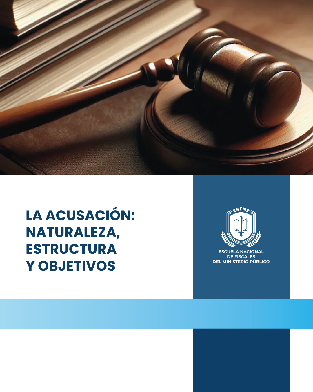 La acusación: naturaleza, estructura y objetivos (vista previa).