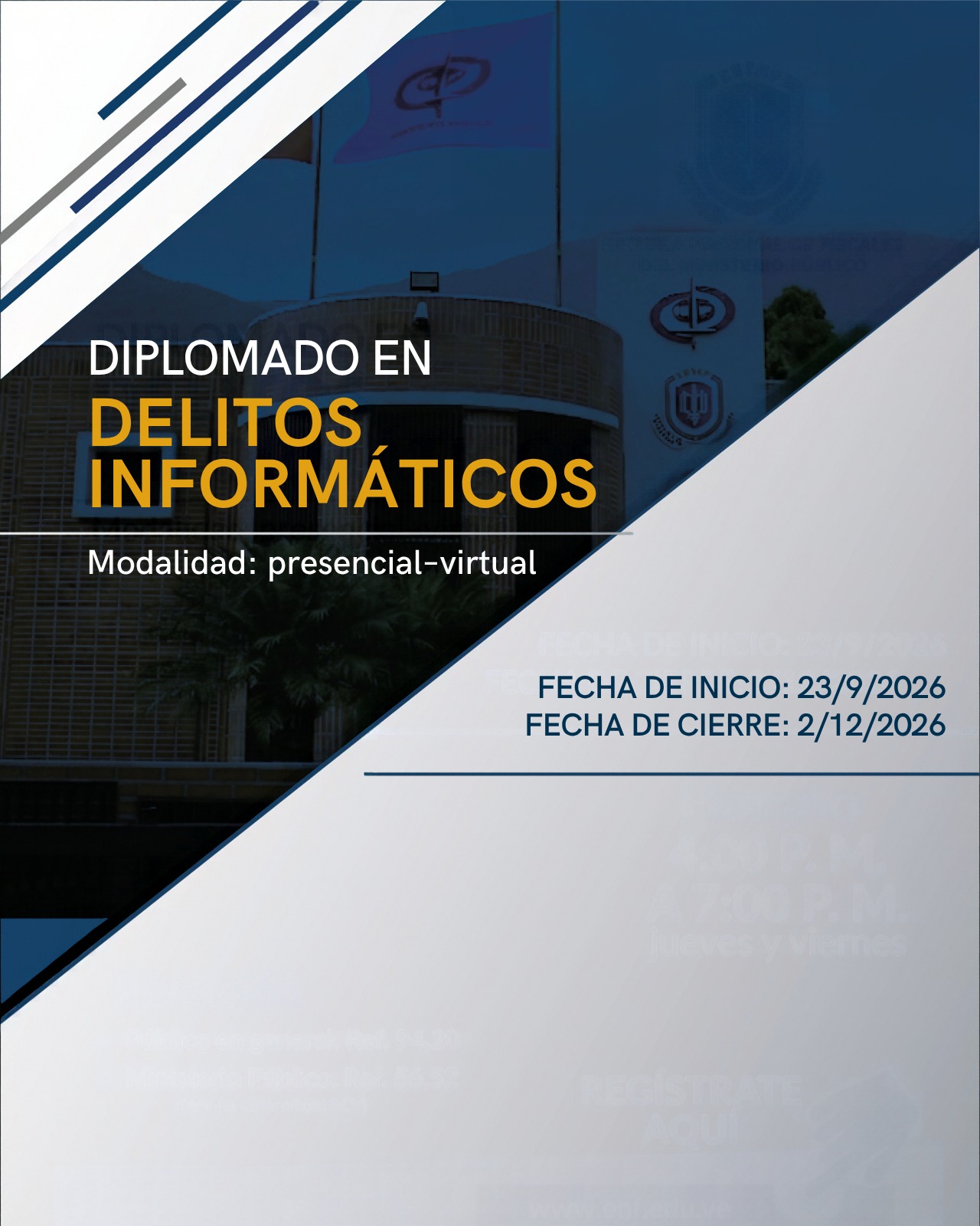 Delitos Informáticos (vista previa).