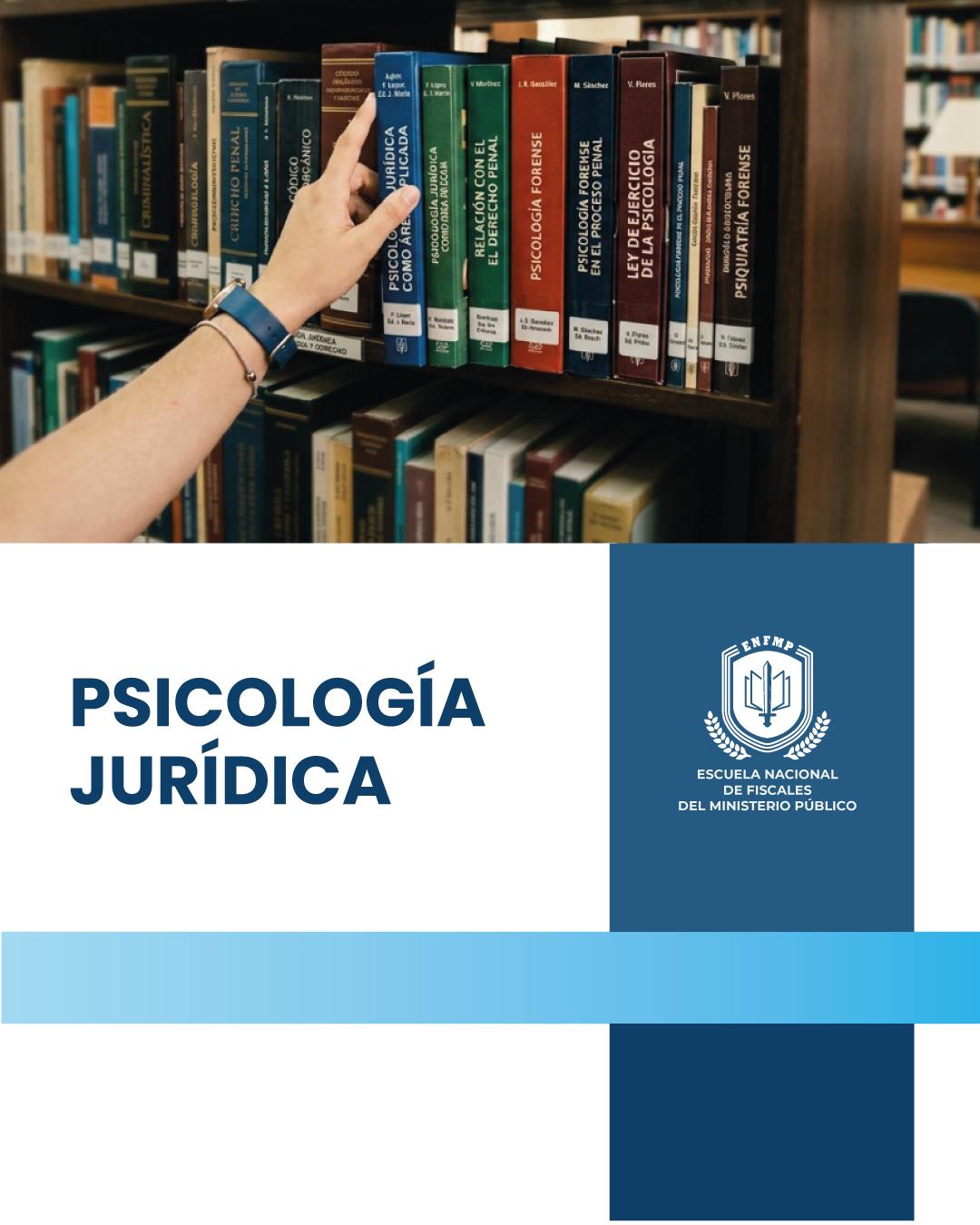 Psicología jurídica (vista previa).