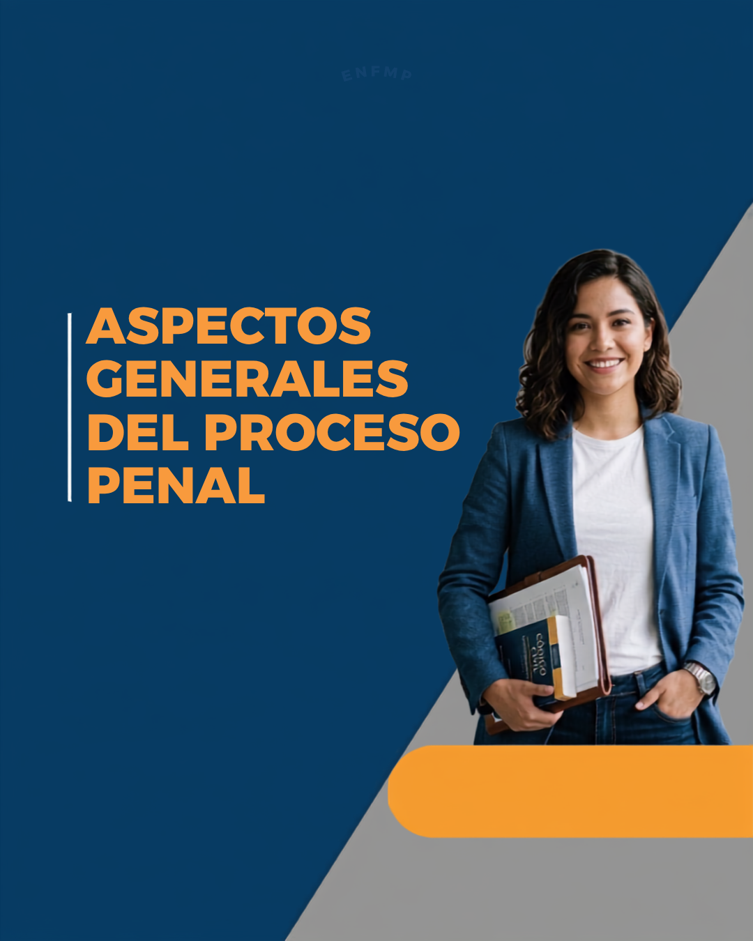 Aspectos generales del proceso penal (vista previa).